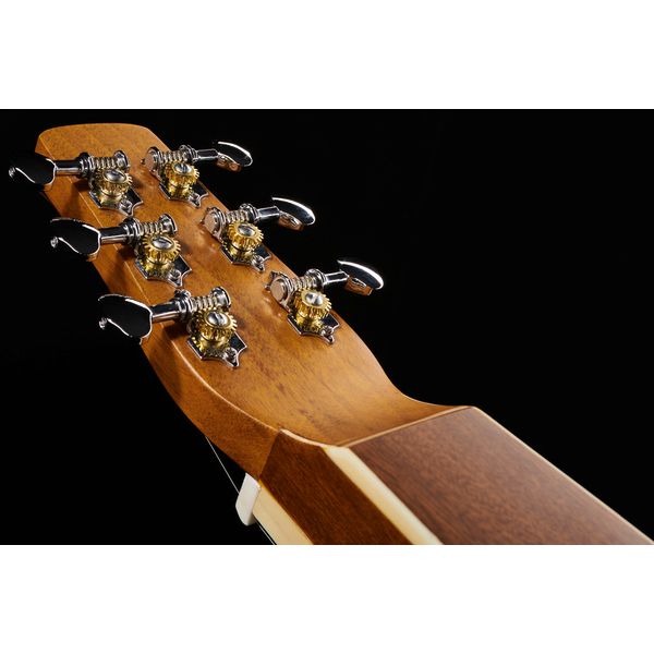 Gold Tone GT-WB Weissenborn