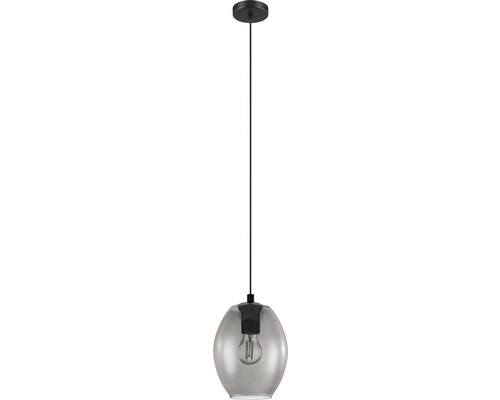 Hanglamp, 1-lichts, HxØ 110x18 mm, zwart/gerookt glas/transparant