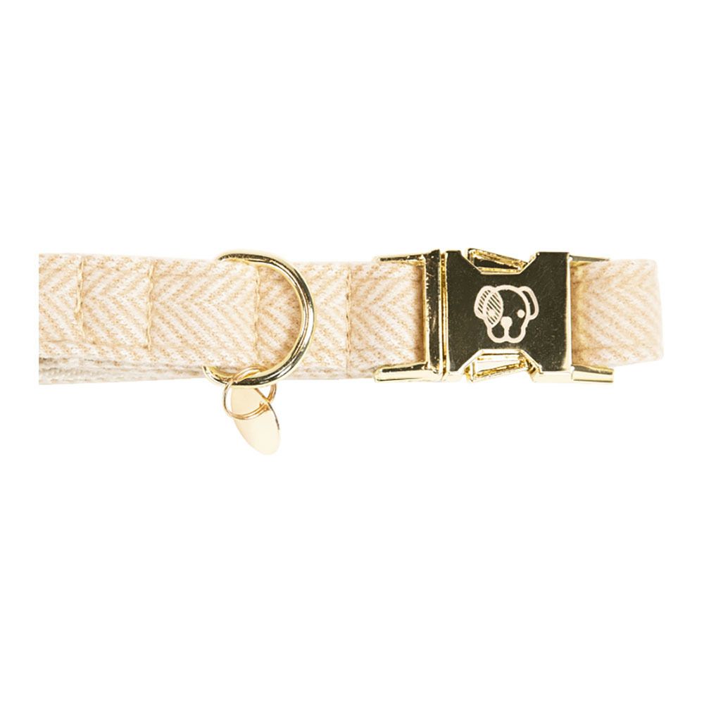 Kentucky LAINE -  Collier pour chien beige