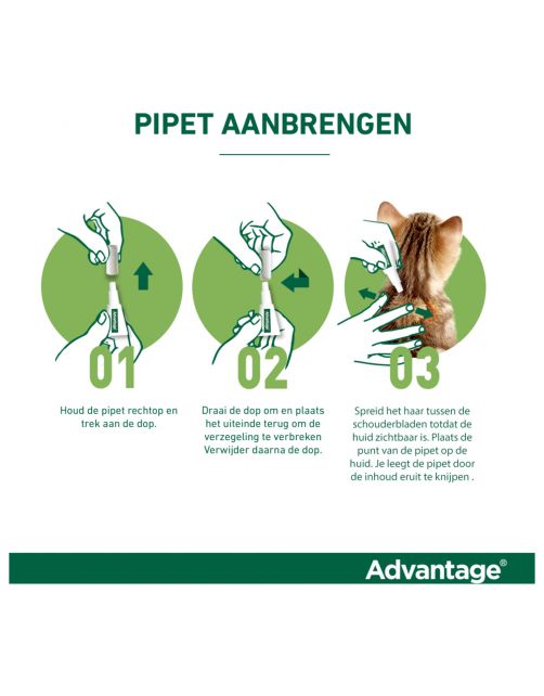 Advantage Kat 4 pip - Anti vlooienmiddel