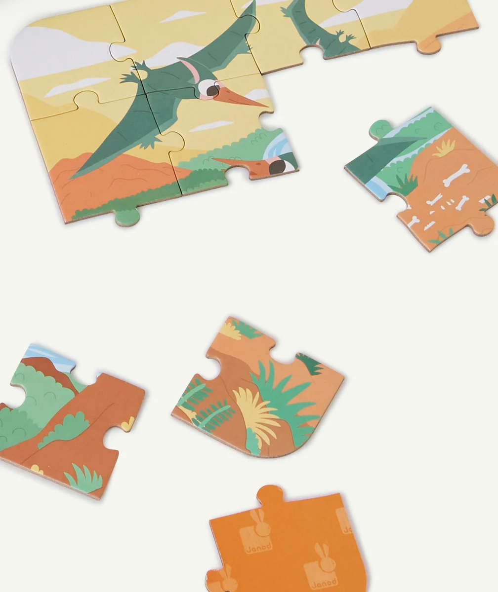 JANOD4 PUZZLES EVOLUTIFS DINOSAURES