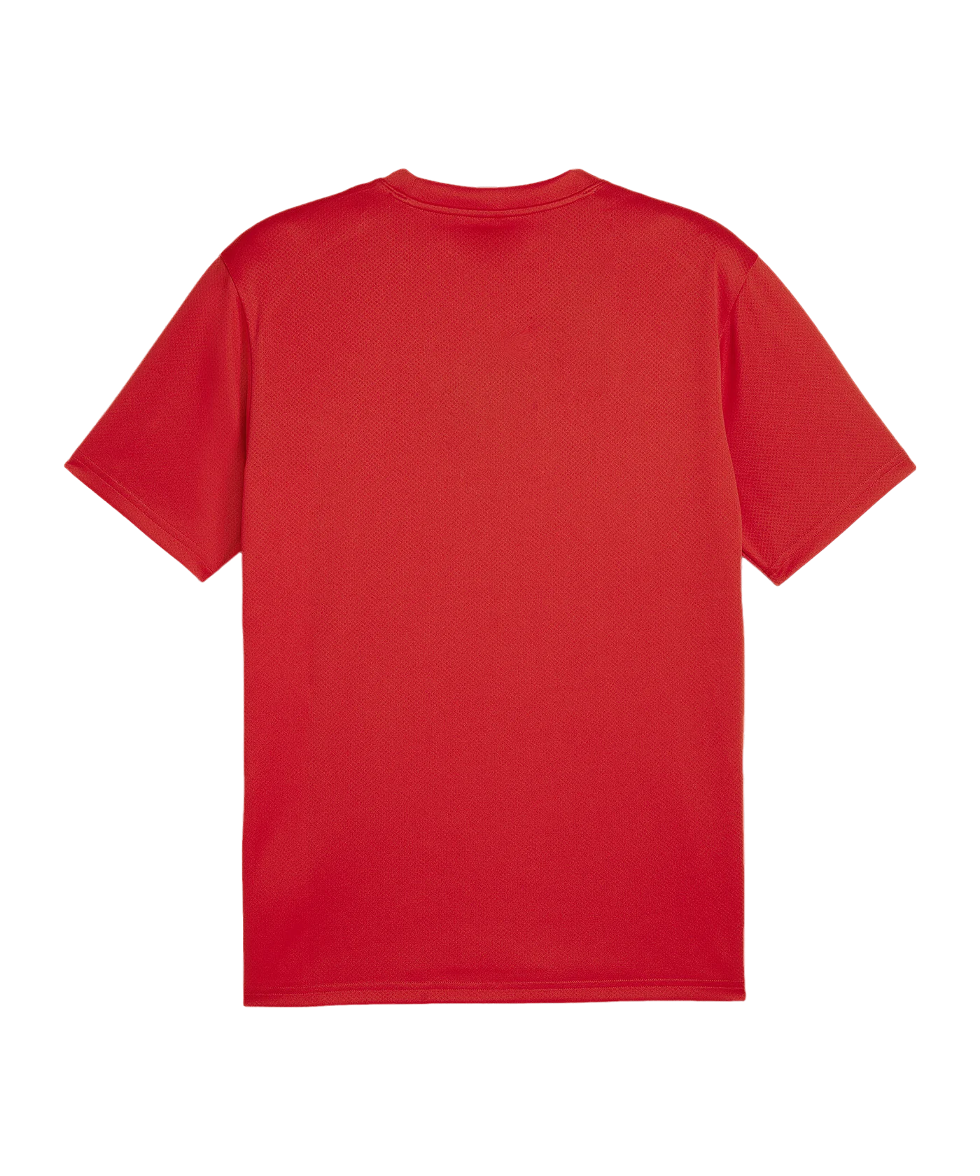 PUMA teamGOAL Trikot Rot F01