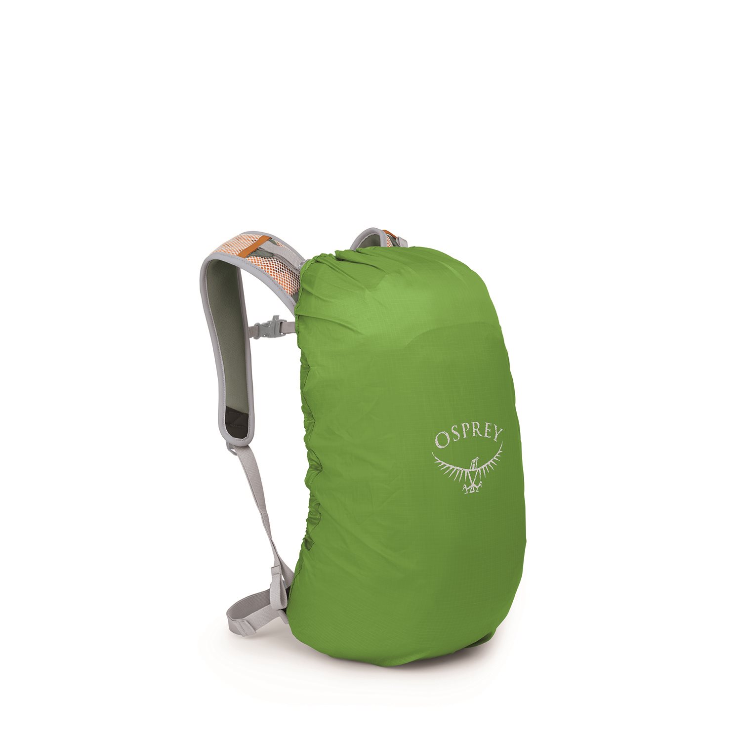Osprey Hikelite 18 pine leaf green