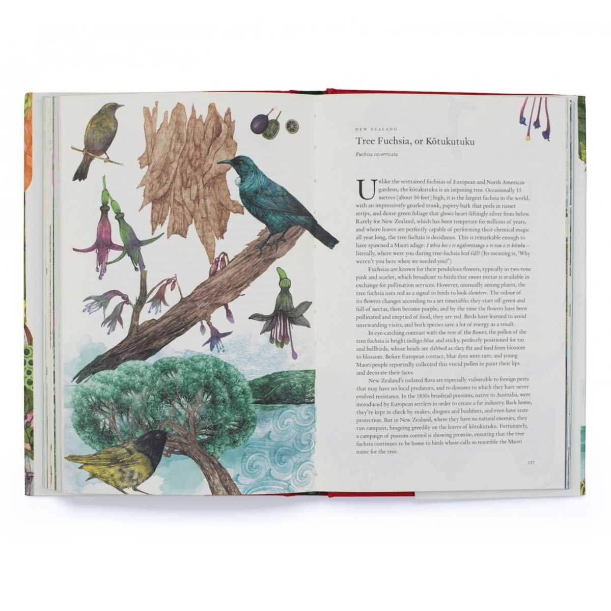 Around the World in 80 Plants (Hardback)