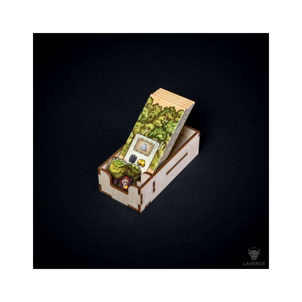 Rangement pour Boîte LaserOx - Atiwa