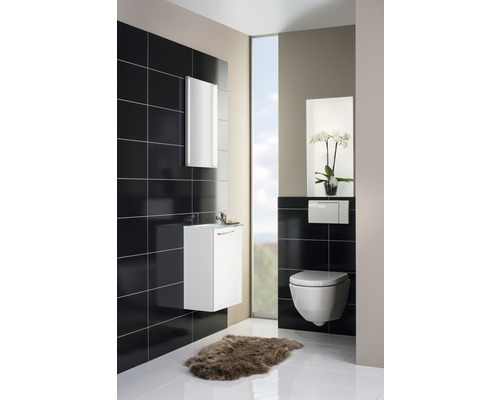 Meubel FACKELMANN Kleine Badkamercollectie BxHxD 44 x 60 cm x 24,3 cm Frontkleur wit hoogglans 86015