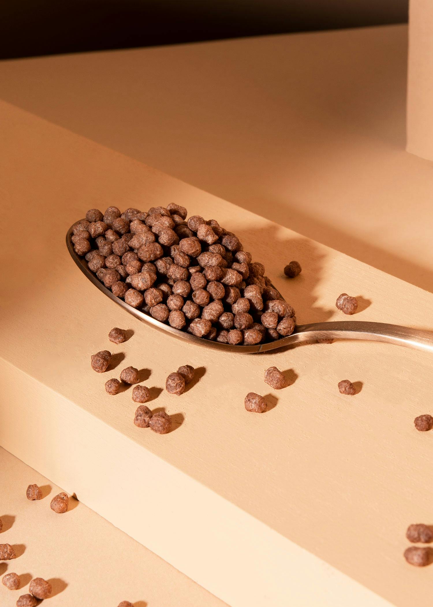Soja Protein Crispies mit Kakao und 58 % Protein 1 kg