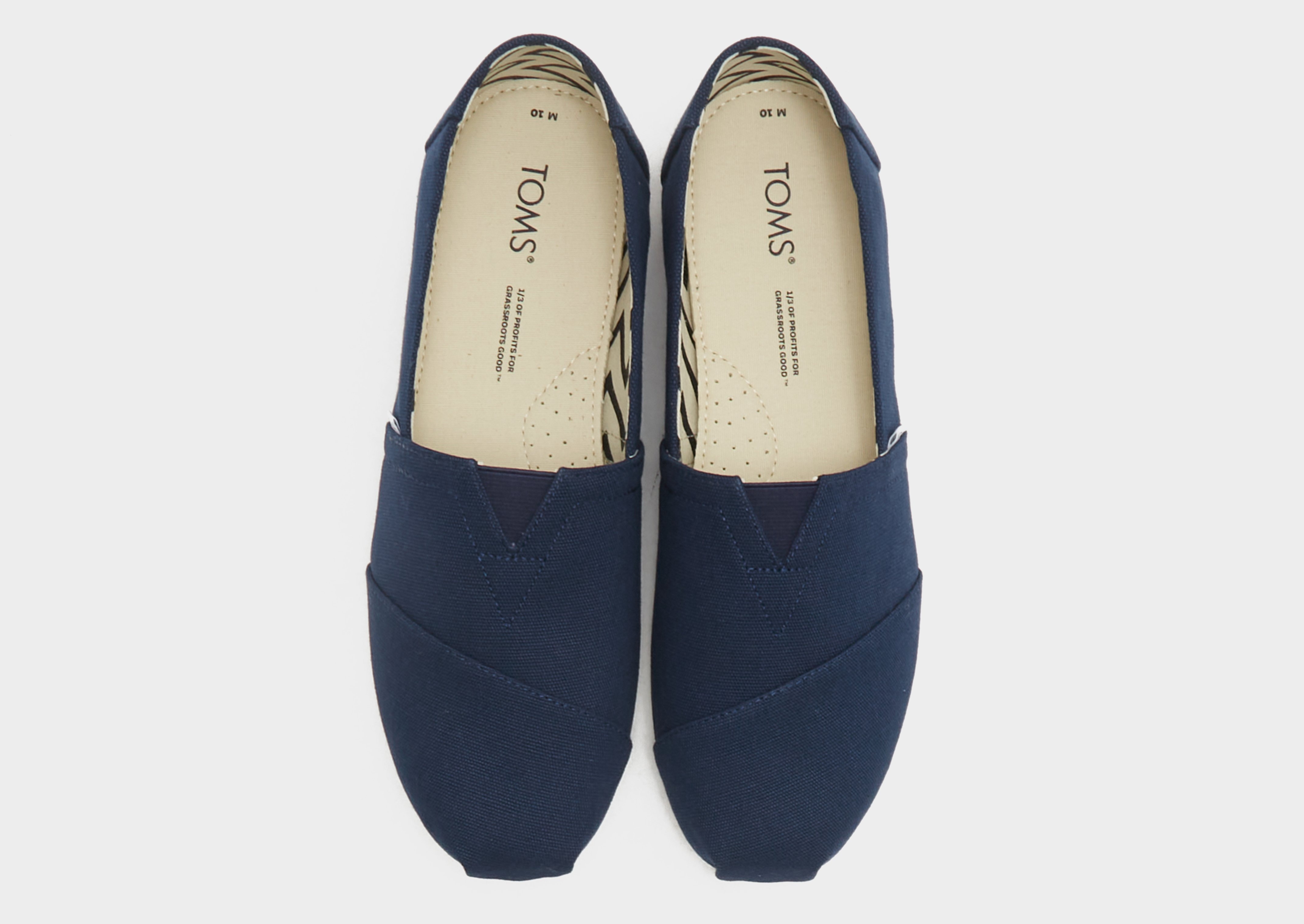 TOMS Alpargata Homme