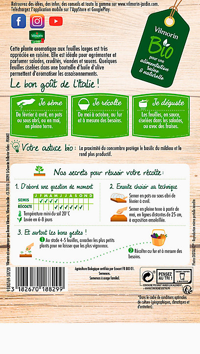 Graines de Basilic Genovese Bio