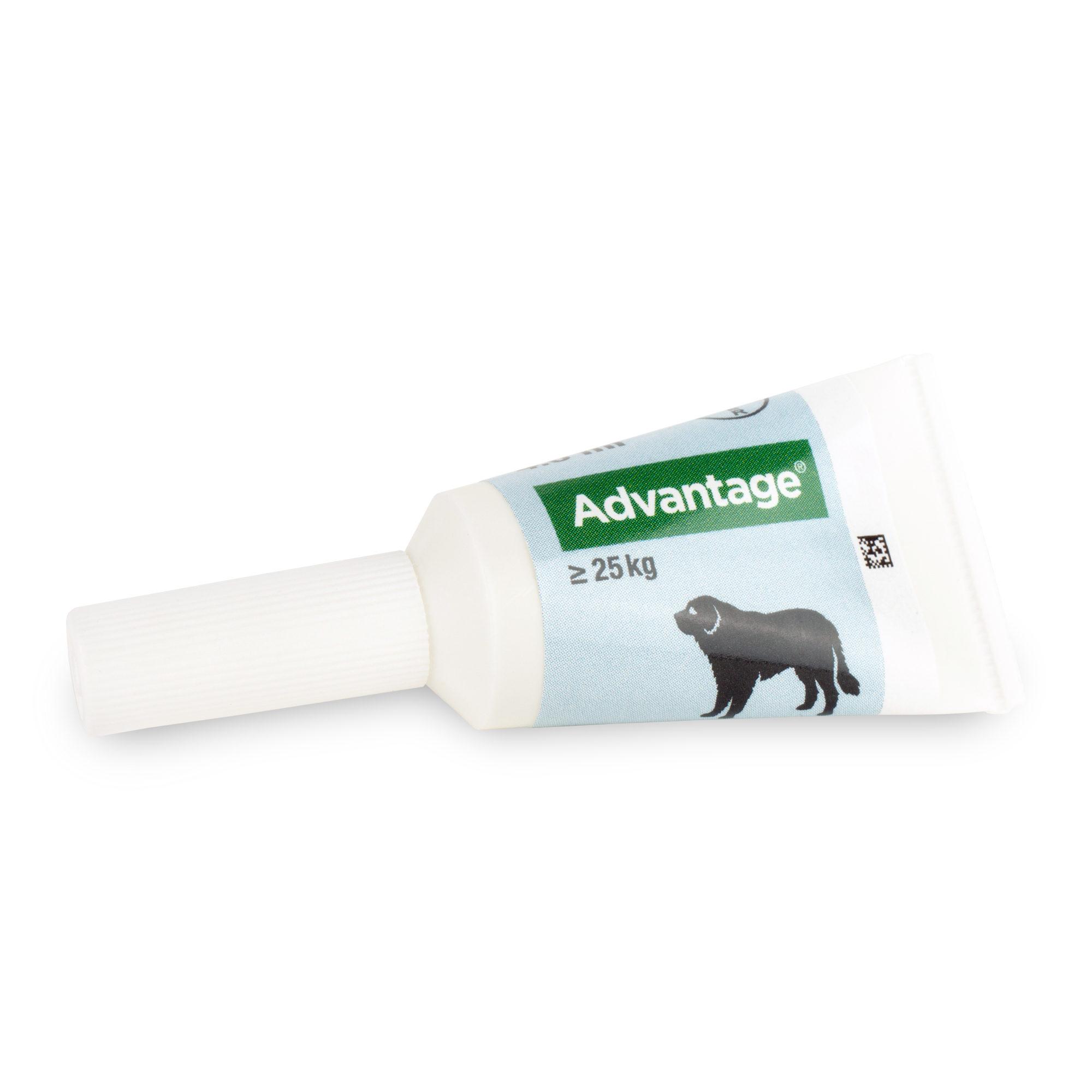 Advantage Hond