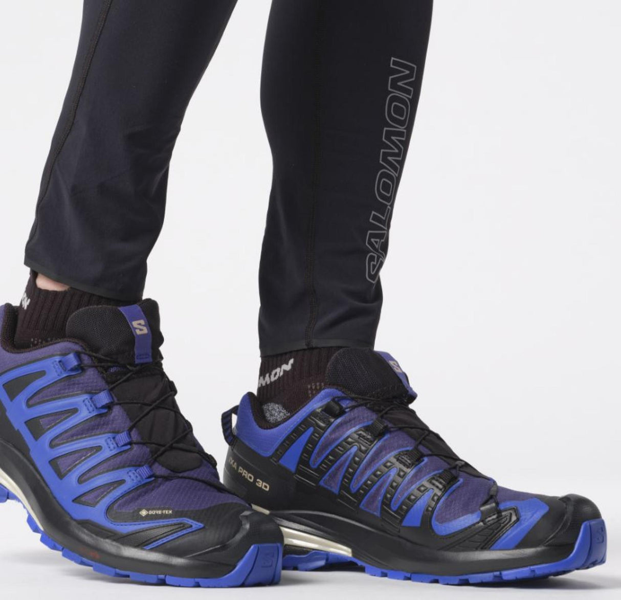 Salomon<br>XA Pro 3D V9 GTX