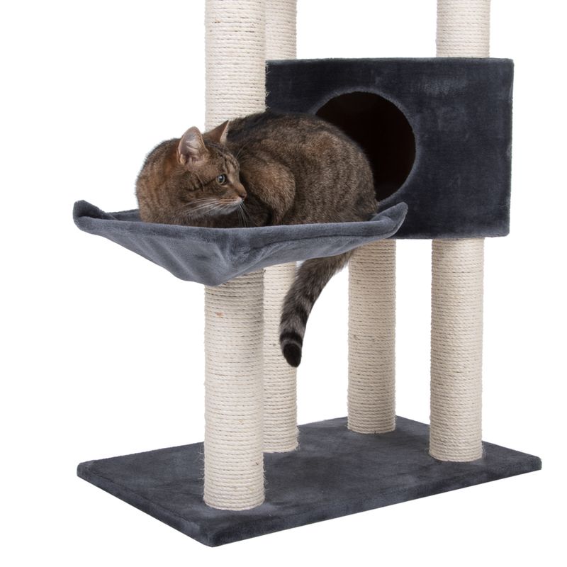 Arbre à chat Atlas