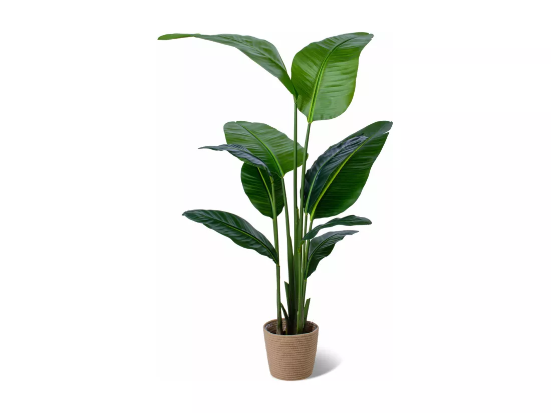Traveller Banana - Plante artificielle en pot H160 cm