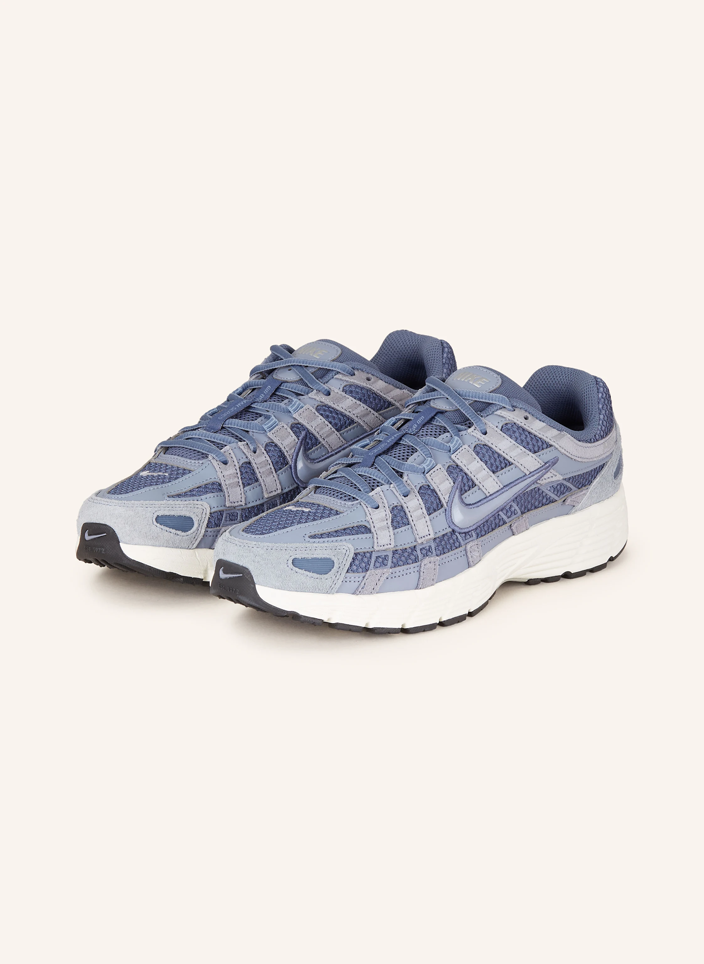 Nike Sneaker P-6000 SE