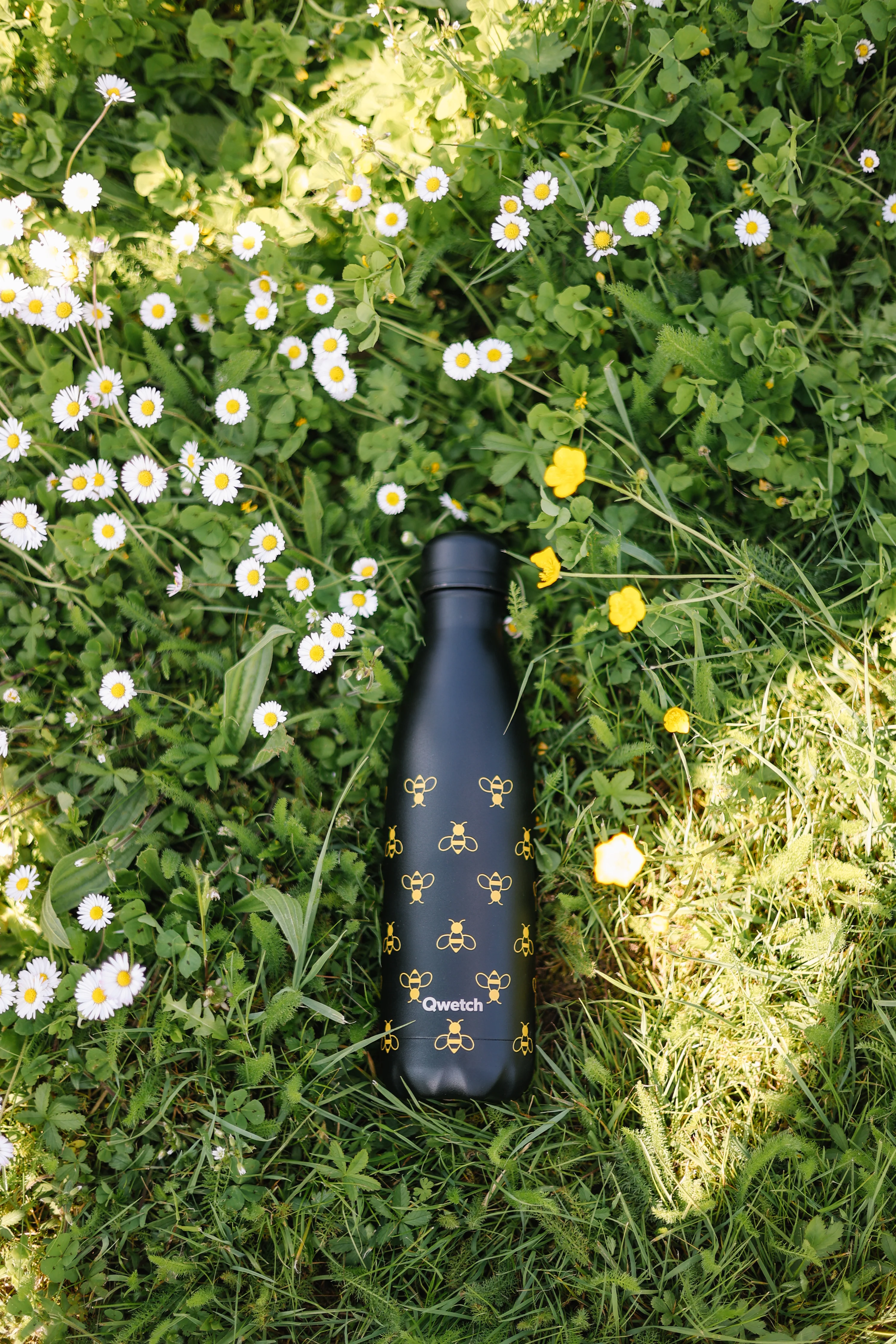 Bouteille Isotherme Originals Bee - Qwetch