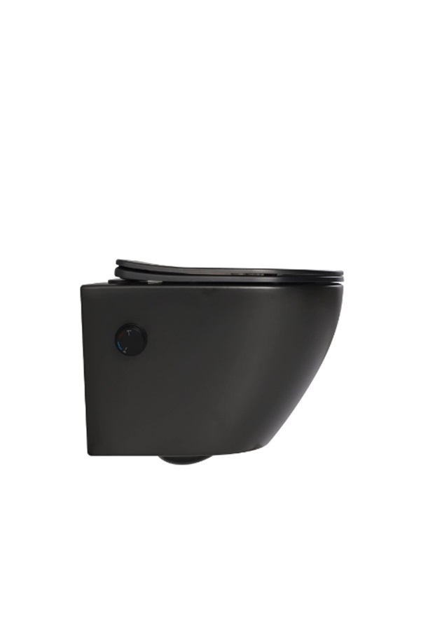 DTG Livorno douche wc met softclose zitting zwart mat