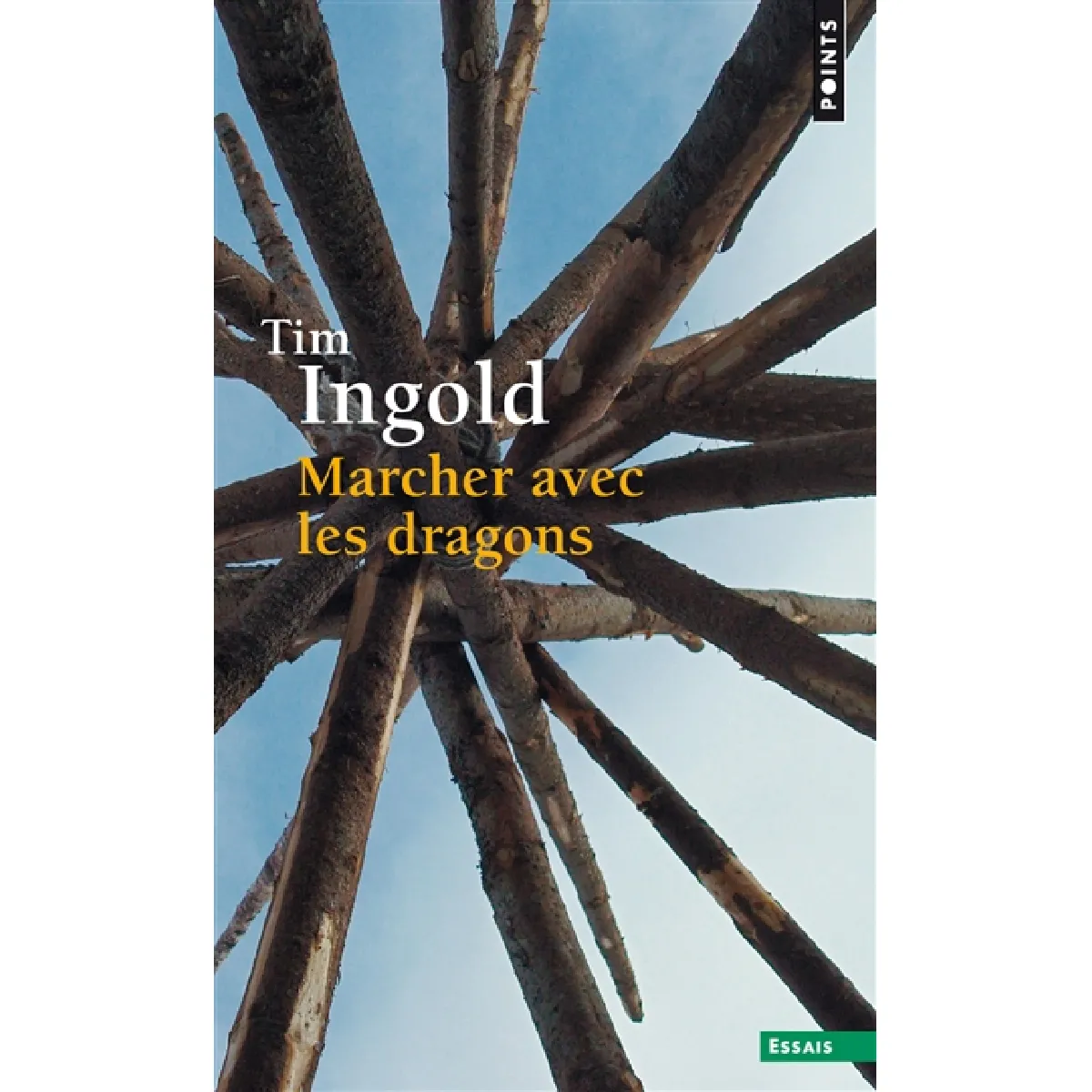 Marcher avec les dragons · Occasion