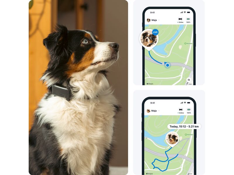 tractive GPS-Tracker DOG 6 Schwarz GPS Tracker für Hunde