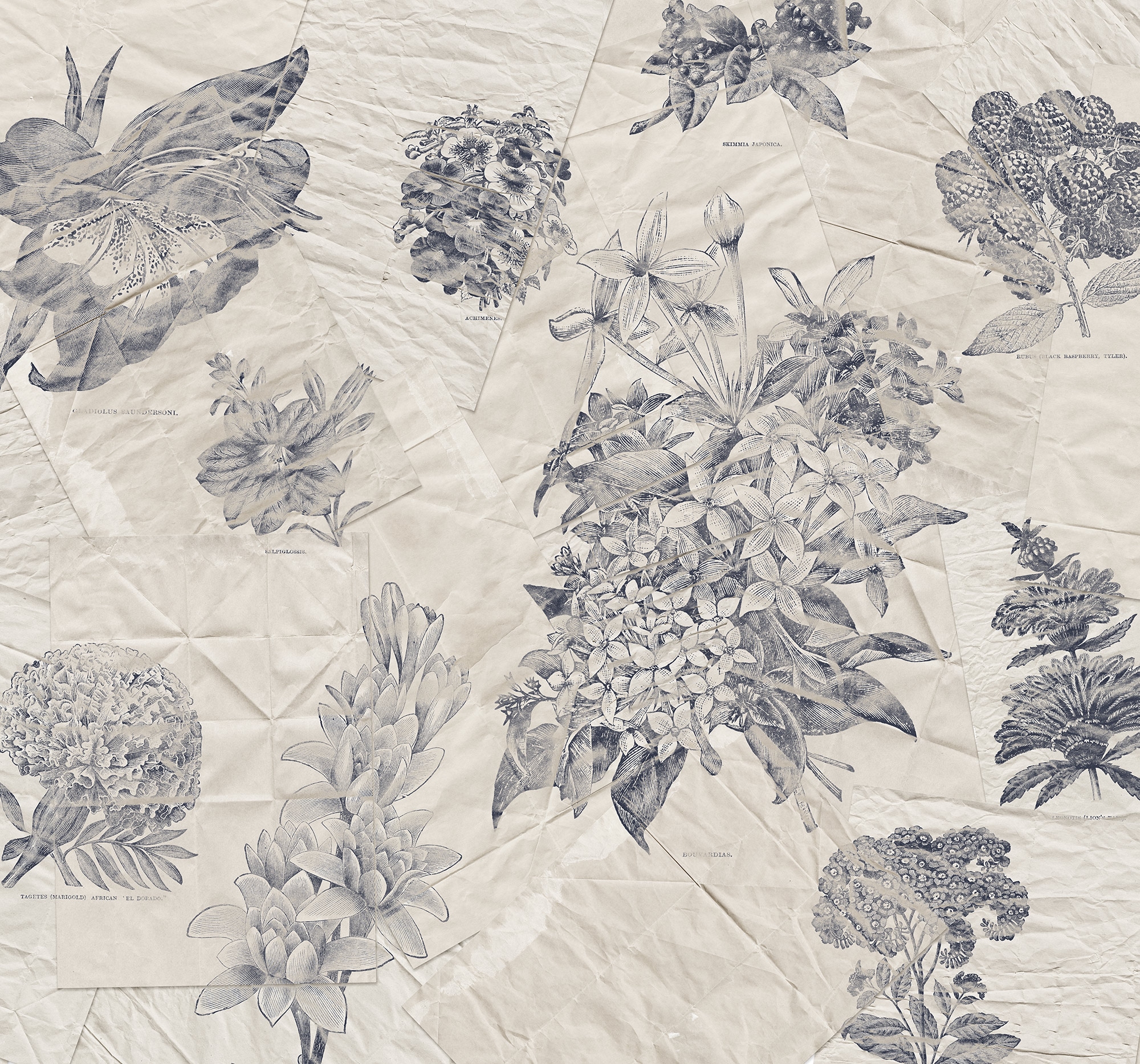 Komar Fototapete »Digitaldruck Vlies -  Botanical Papers - Grösse 300 x 280 cm« bedruckt glatt Vlies Fototapete - Botanical Papers - Grösse 300 x 280 cm