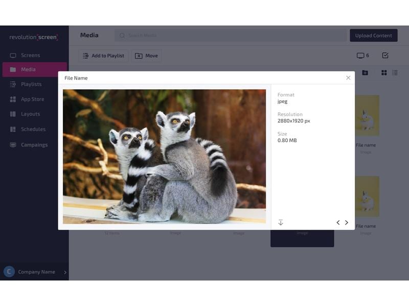 revolutionSCREEN Digital Signage Software revolutionScreen RevolutionSCREEN Digital Signage Software – Die neue und effiziente Art, digitale Displays zu bewirtschaften