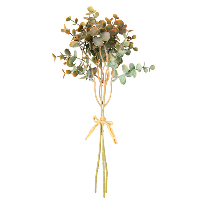 Eukalyptus - ca. 37 cm