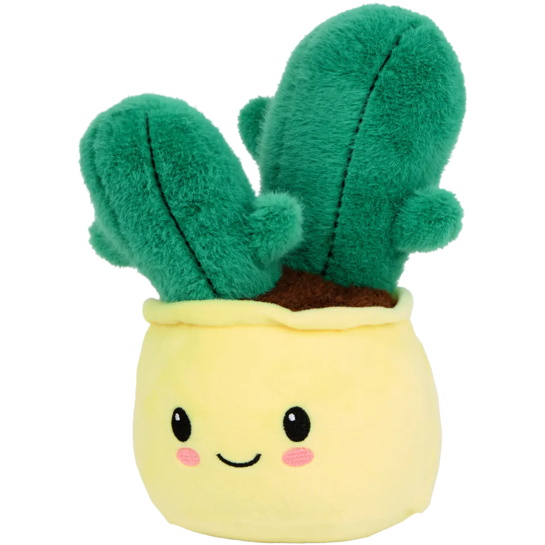 Pluchen plant in pot Diverse varianten