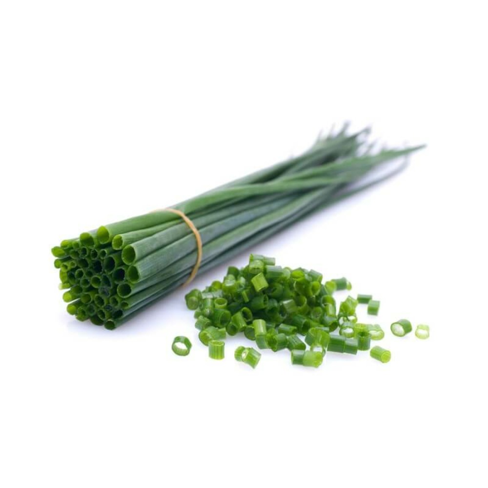 Ciboulette (allium schoenoprasum) - godet - taille 10cm