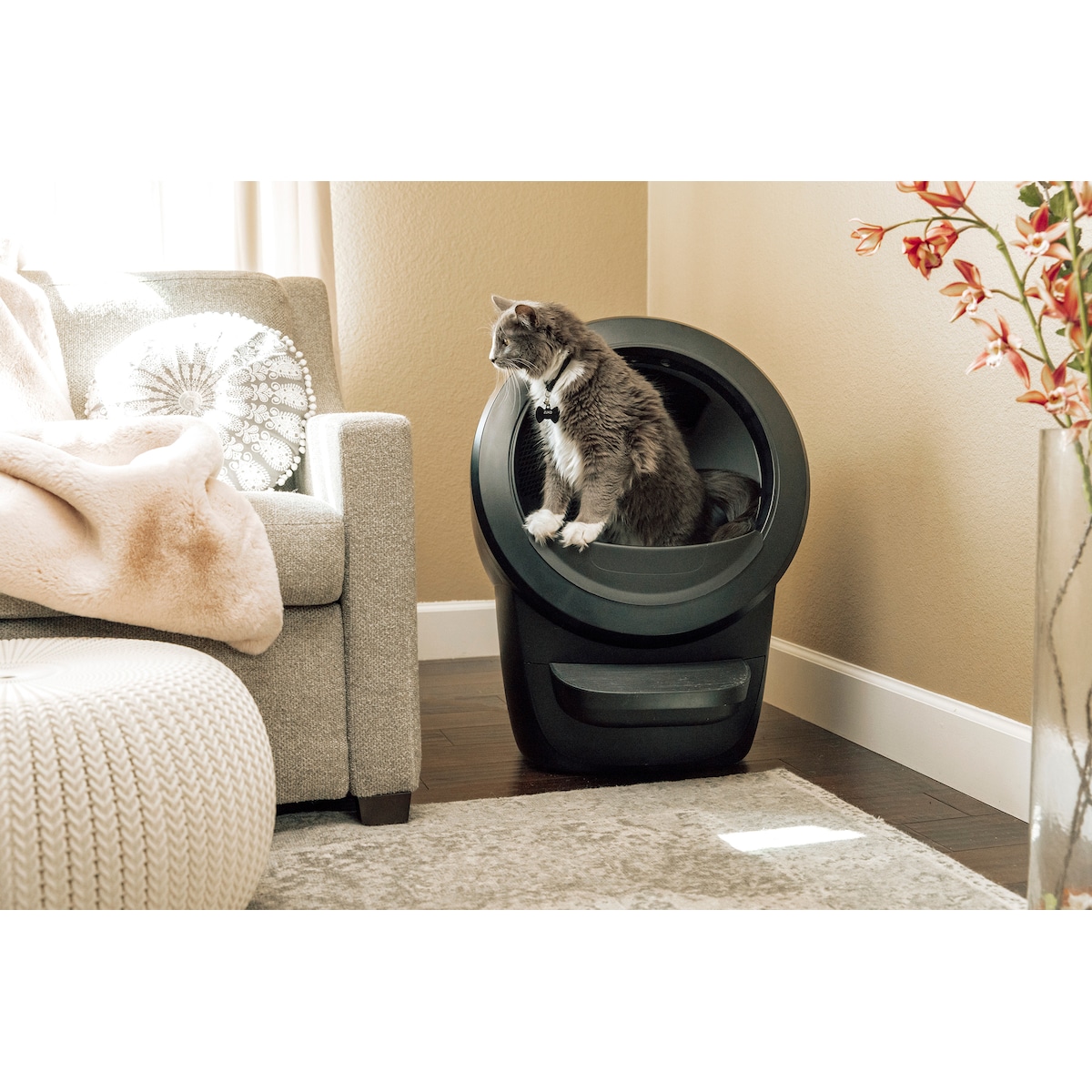 Whisker Litter-Robot 4 Automatic Cat Litter Box - Svart
