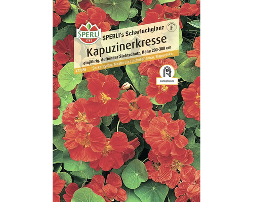 Nasturtium SPERLI's Scarlet Sheen Sperli Open-pollinated Seed Flower Seeds