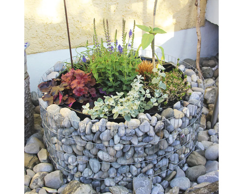 bellissa basic ronde verhoogde bak Ø 81 x 40 cm