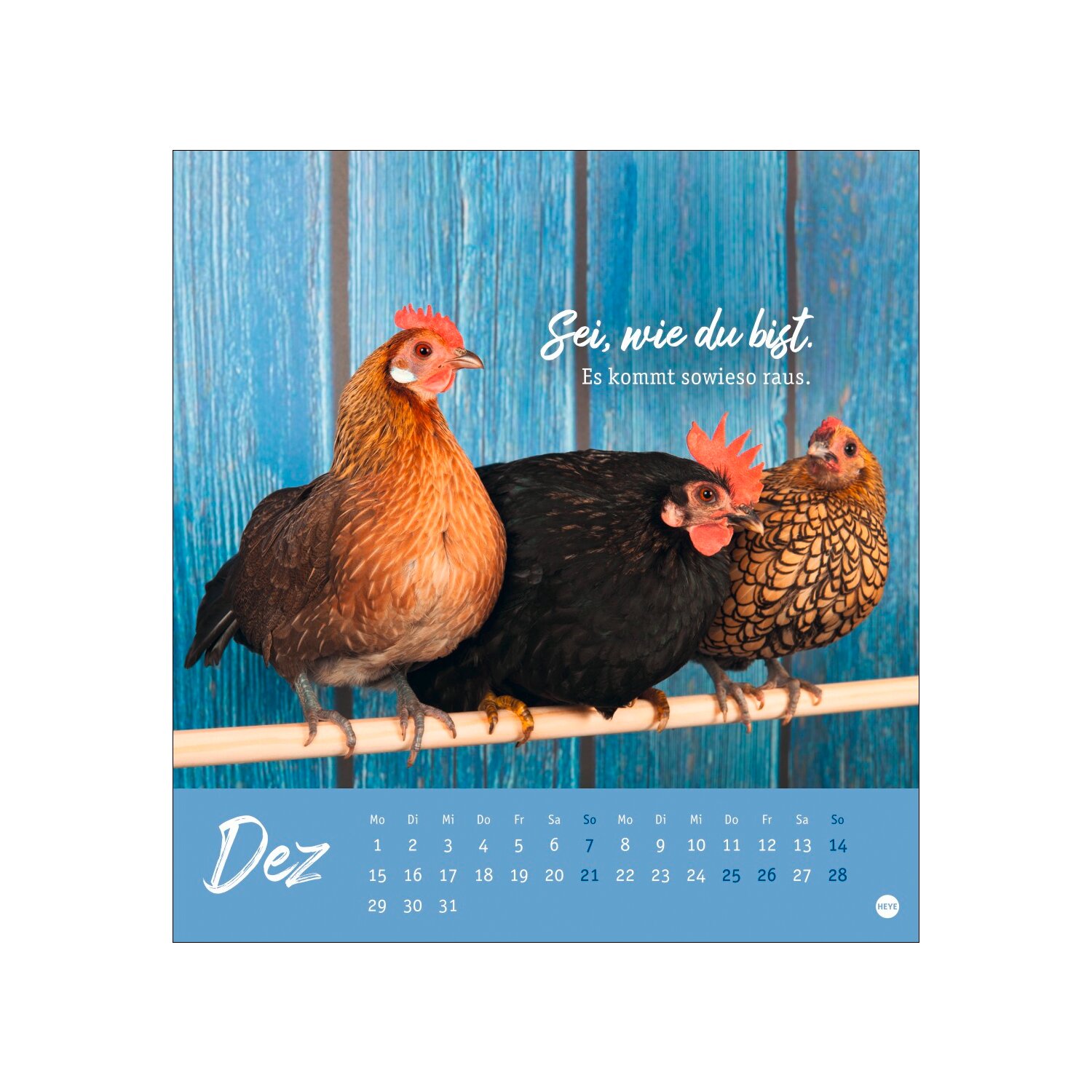 Postkartenkalender Hühner 2025 - Ach, du verrücktes Huhn  - 2025