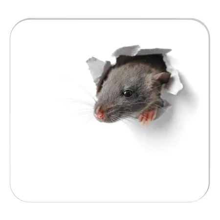 RNK Verlag Mousepad Notizblock 30 Blatt, ca. 24 x 22 cm