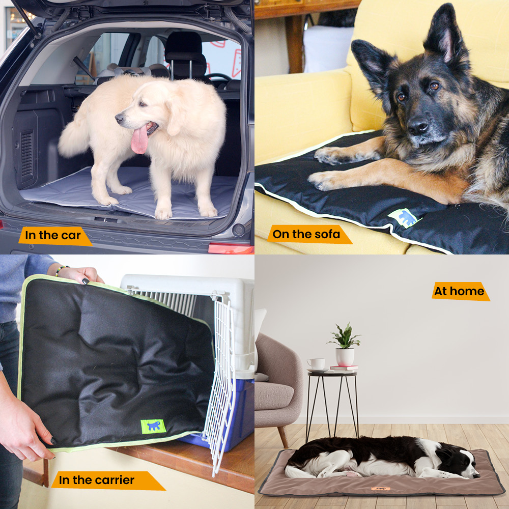 Ferplast panier pour chien chat - lit chien moyen lavable - matelas chien - coussin chien chat - imperméable & anti-rayures -