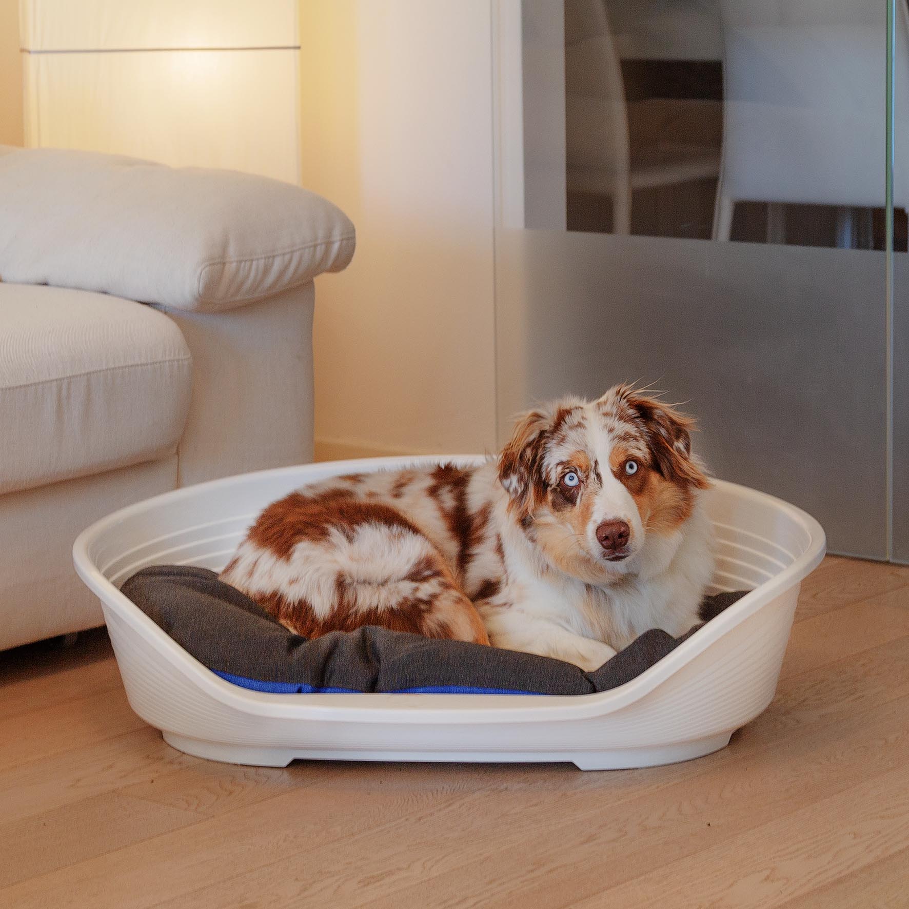Ferplast panier chien en plastique siesta deluxe 8, lit pour chien, niche chien intérieur, panier pour chiens avec antidérapant,