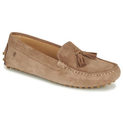 Casual Attitude - GATO - Taupe