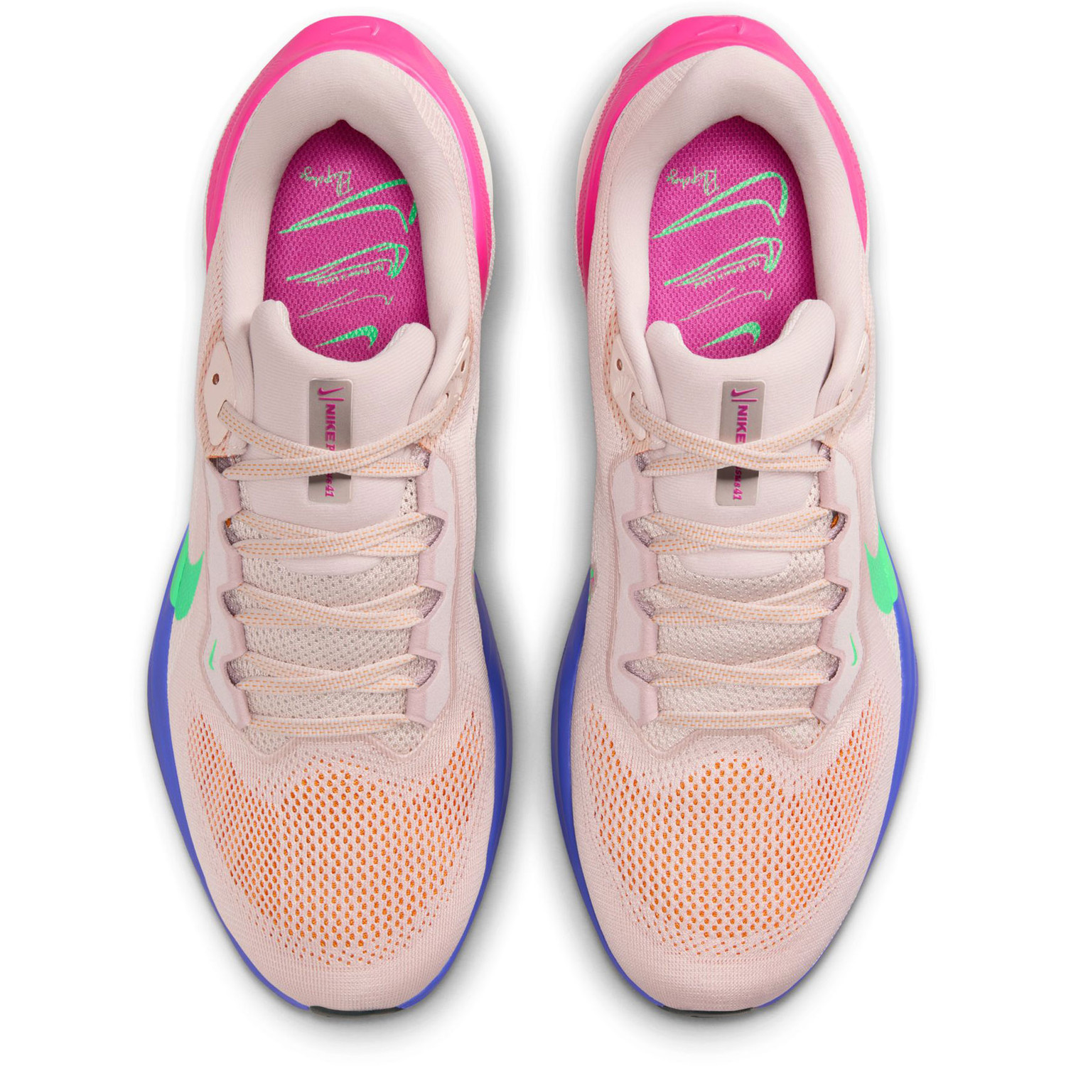 Nike Pegasus 41 EK Heren