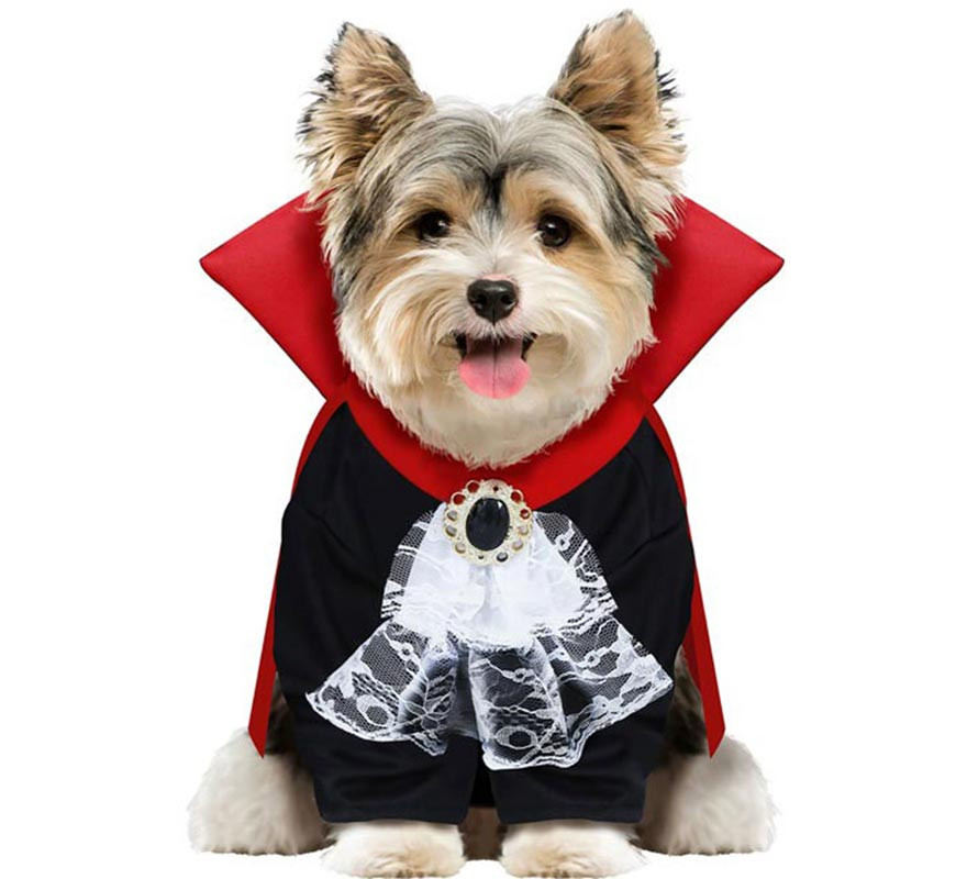 Fantasia de vampiro Wooferatu para cães