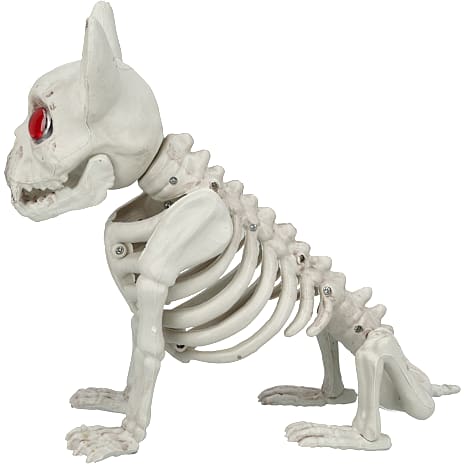 Halloween dyreskelet 23 cm - Hund eller kat - assorteret