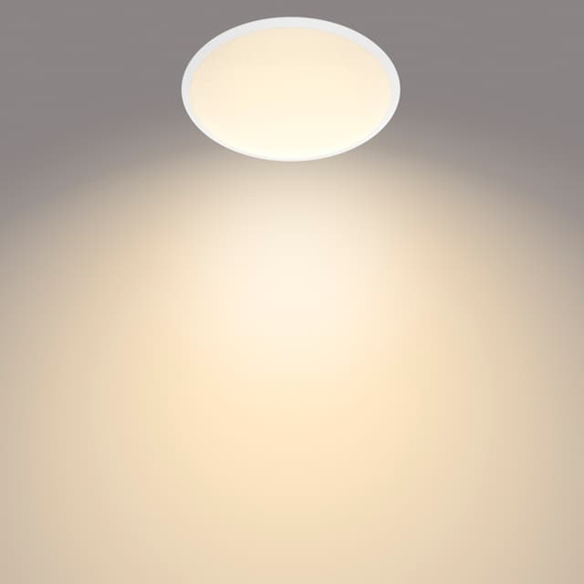Philips Cavanal loftslampe 12W