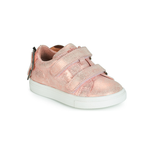 Acebo's - BAMBU - Rose
