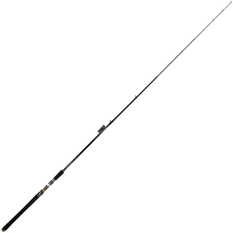 Canne Casting Biwaa The Divinator 76Xh