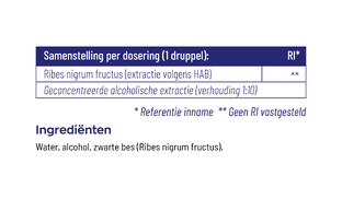 Vitakruid Ribes Nigrum Tinctuur 100ML
