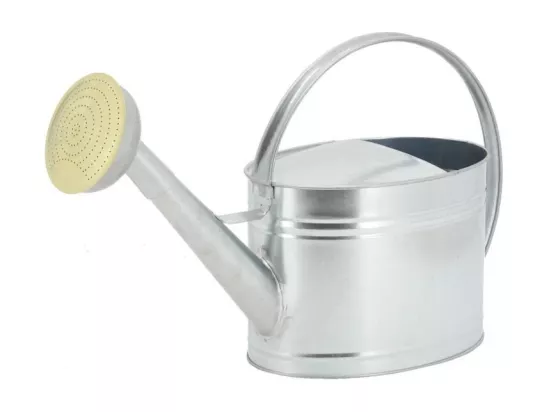 Arrosoir en métal galvanisé 10 L