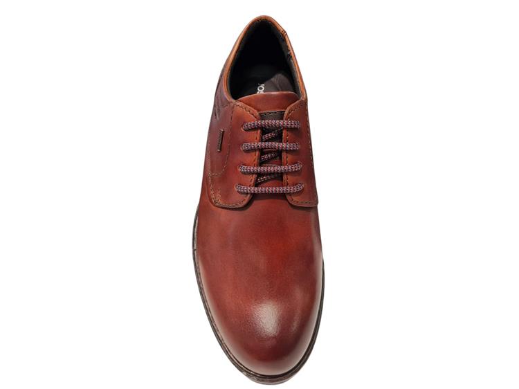 Josef Seibel Erroll 50   42950TE859 cognac