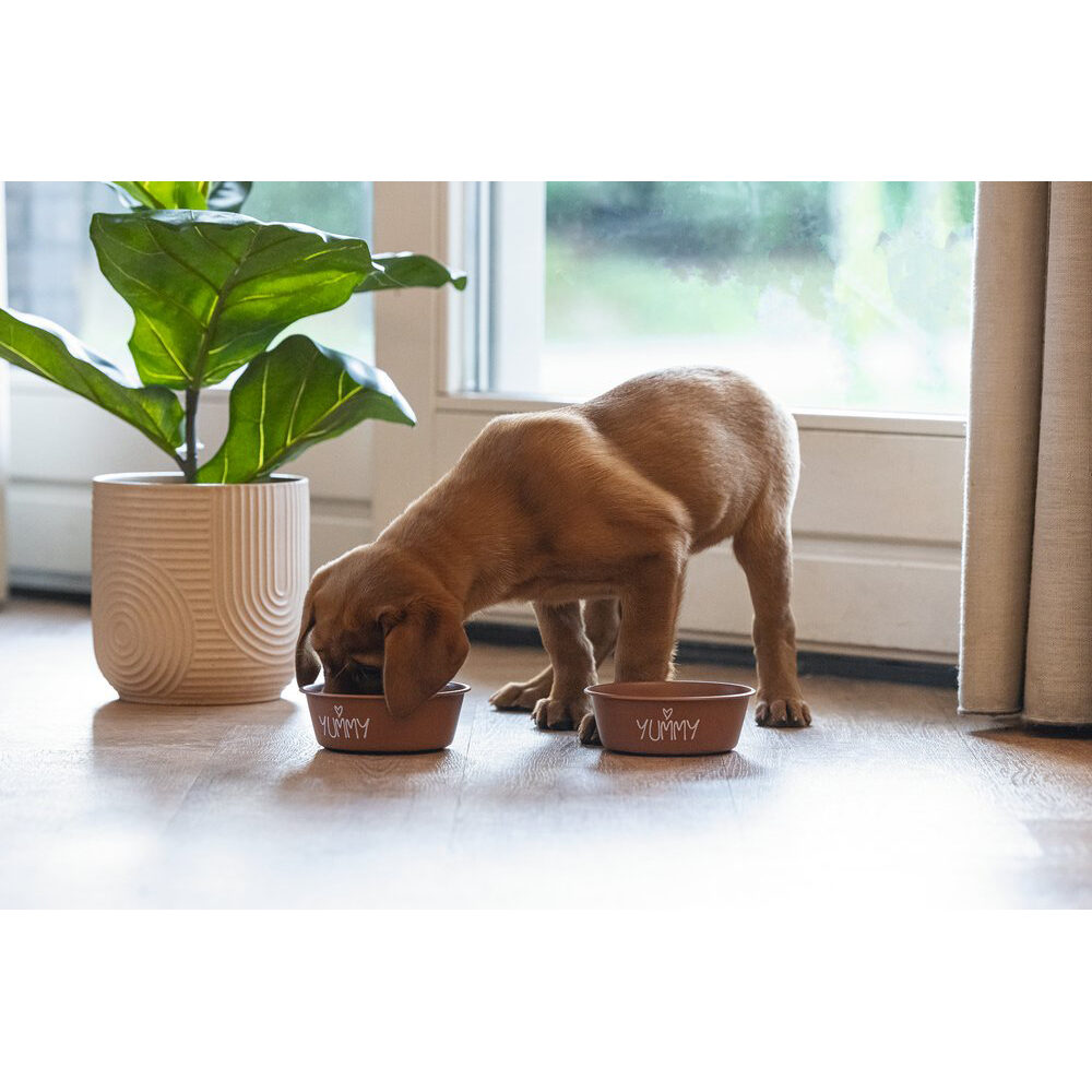 Beeztees Puppy Snoes - Hondenvoerbak