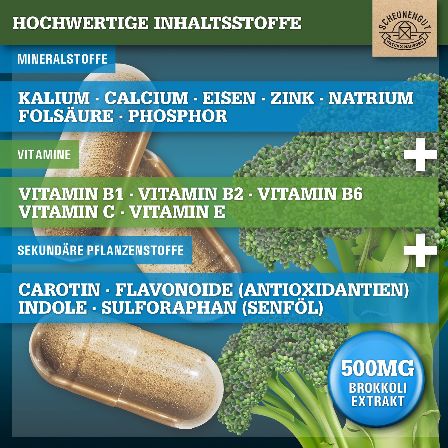 Scheunengut® Brokkoli  | 30:1 Brokkolisprossen-Extrakt mit mindestens 50mg Sulforaphan