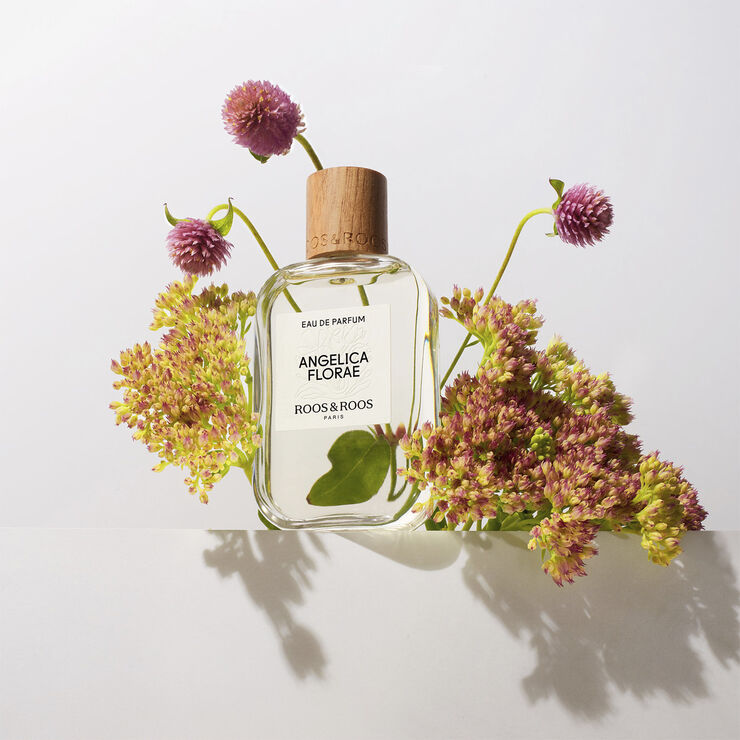 Roos & Roos Angelica Florae