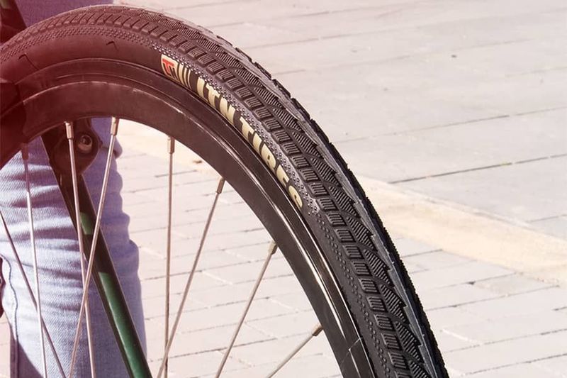 Eltin - LTN Counter Band - Zwart - Rubber