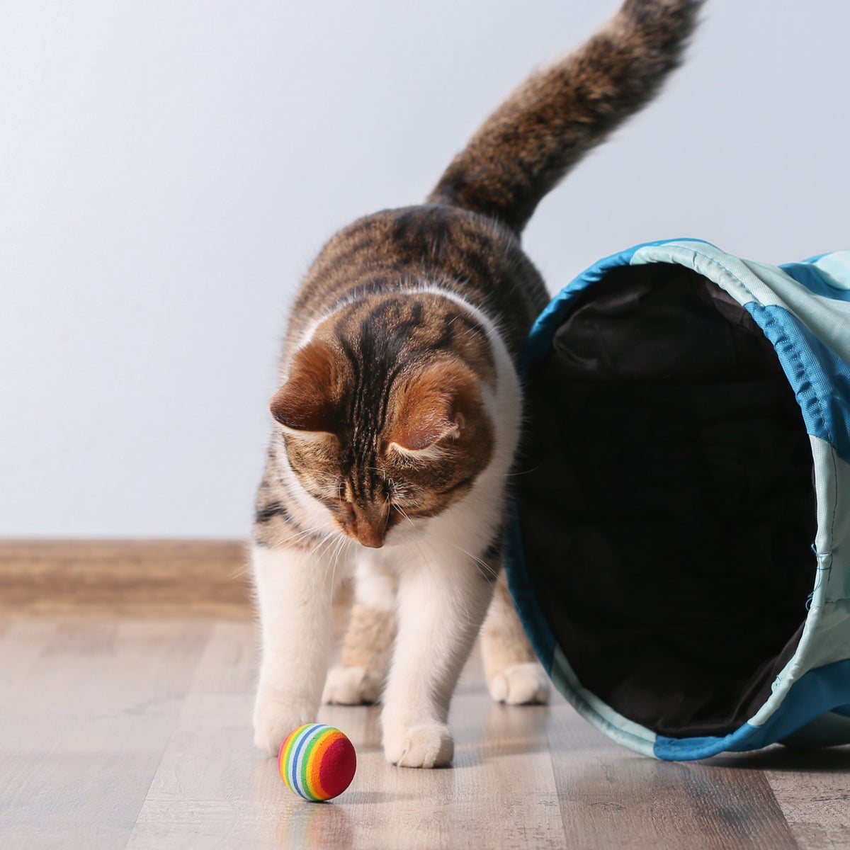 Valeriaanspray voor katten. Voor gebruik op een krabpaal of kattenspeeltje. Volledig natuurlijk, zonder toevoegingen.