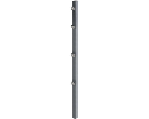 ALBERTS paalklemlip voor dubbeldraads gaaspaneel 6 x 4 x 150 cm antraciet
